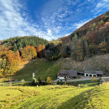 Bauernhaus Im Münstertal Екстериор снимка
