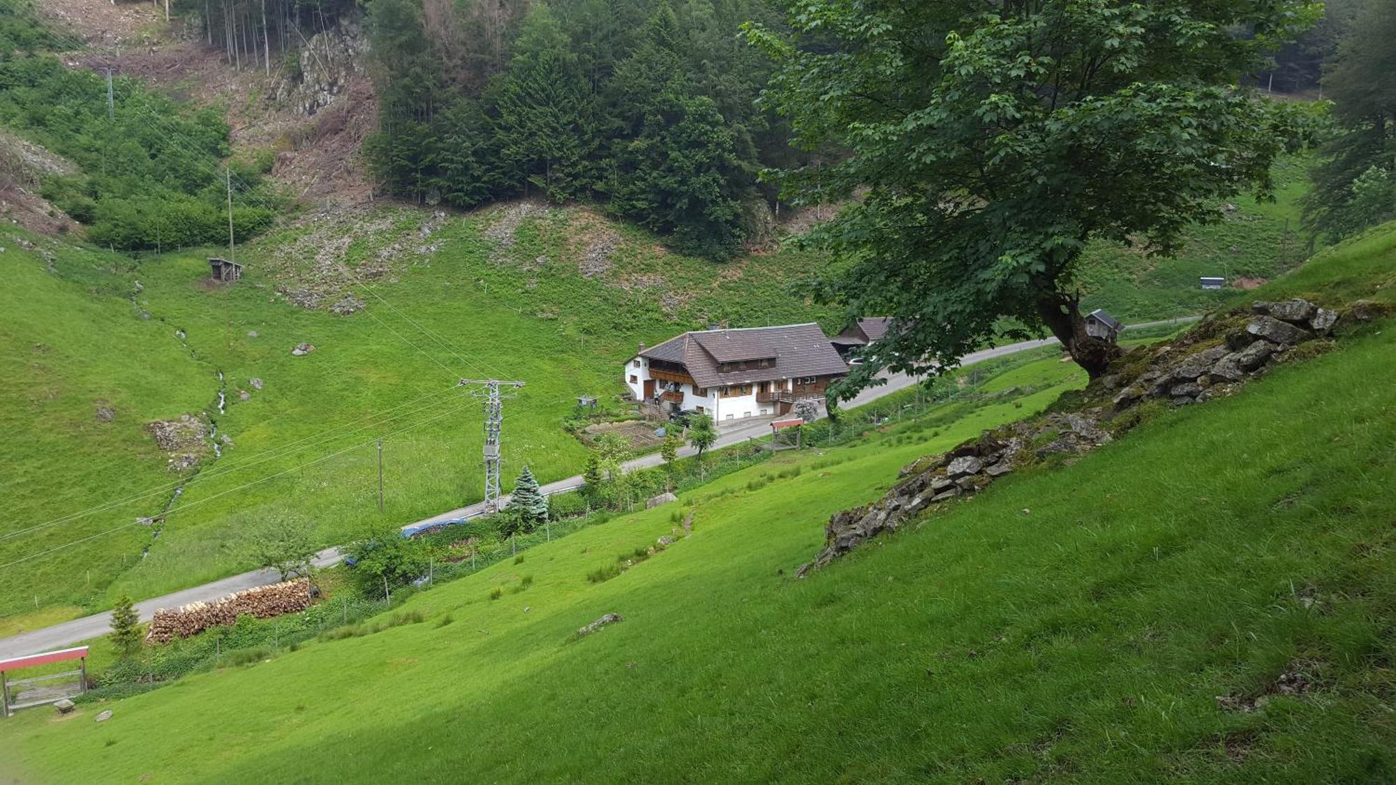 Bauernhaus Im Münstertal Екстериор снимка