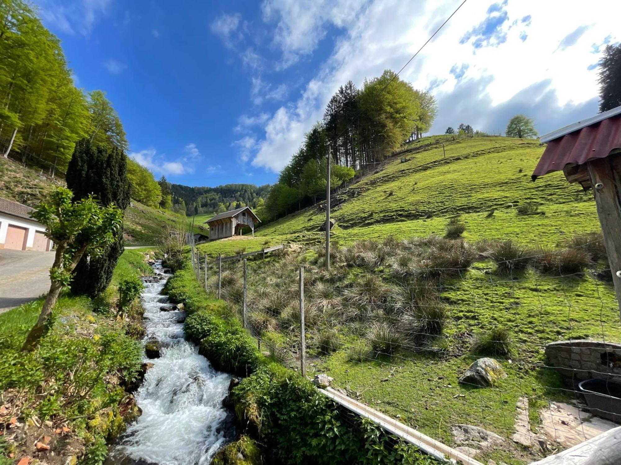 Bauernhaus Im Münstertal Екстериор снимка