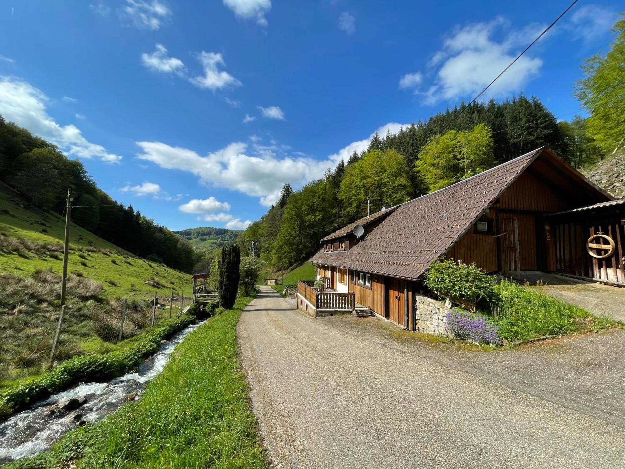Bauernhaus Im Münstertal Екстериор снимка