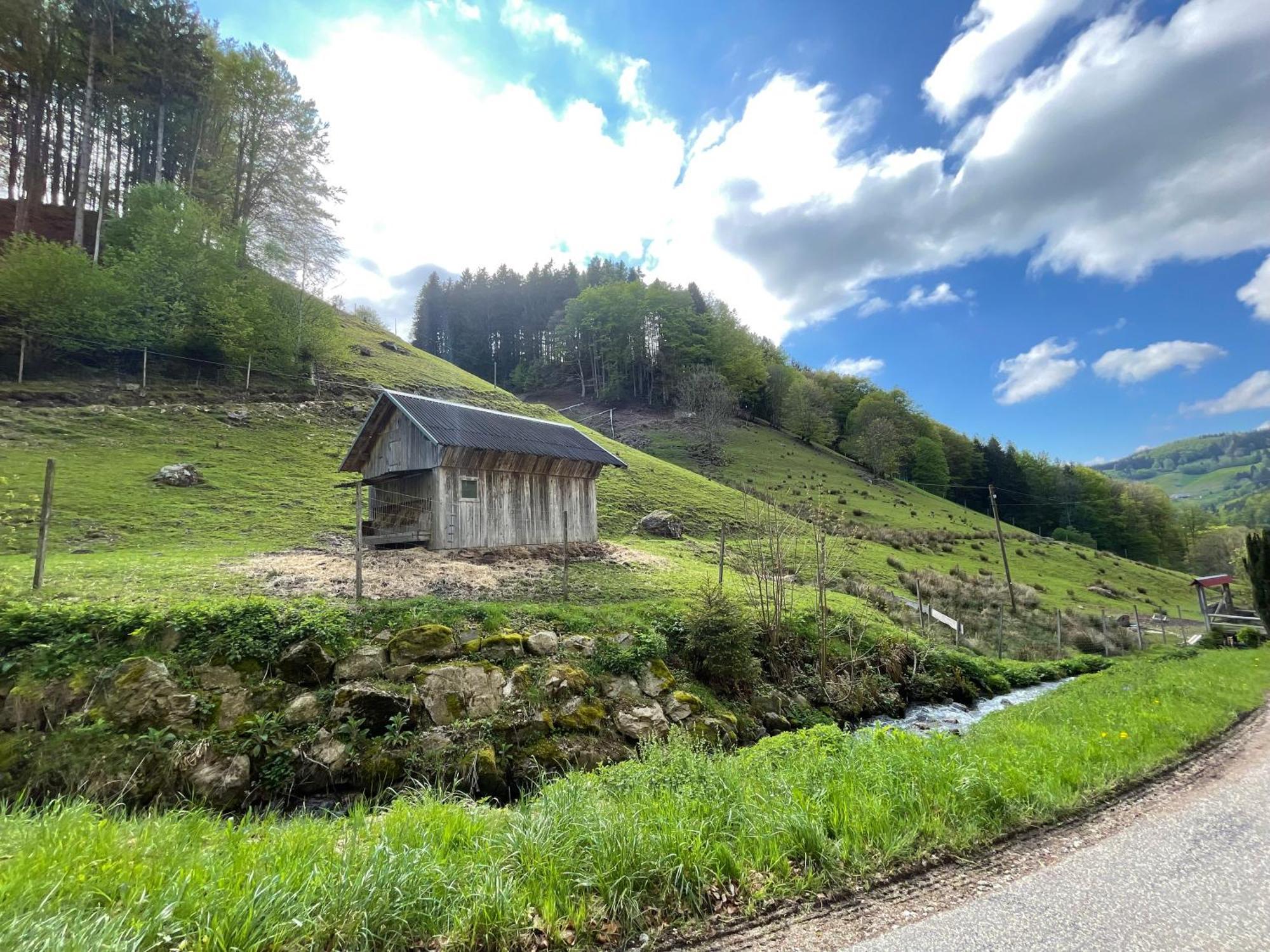 Bauernhaus Im Münstertal Екстериор снимка