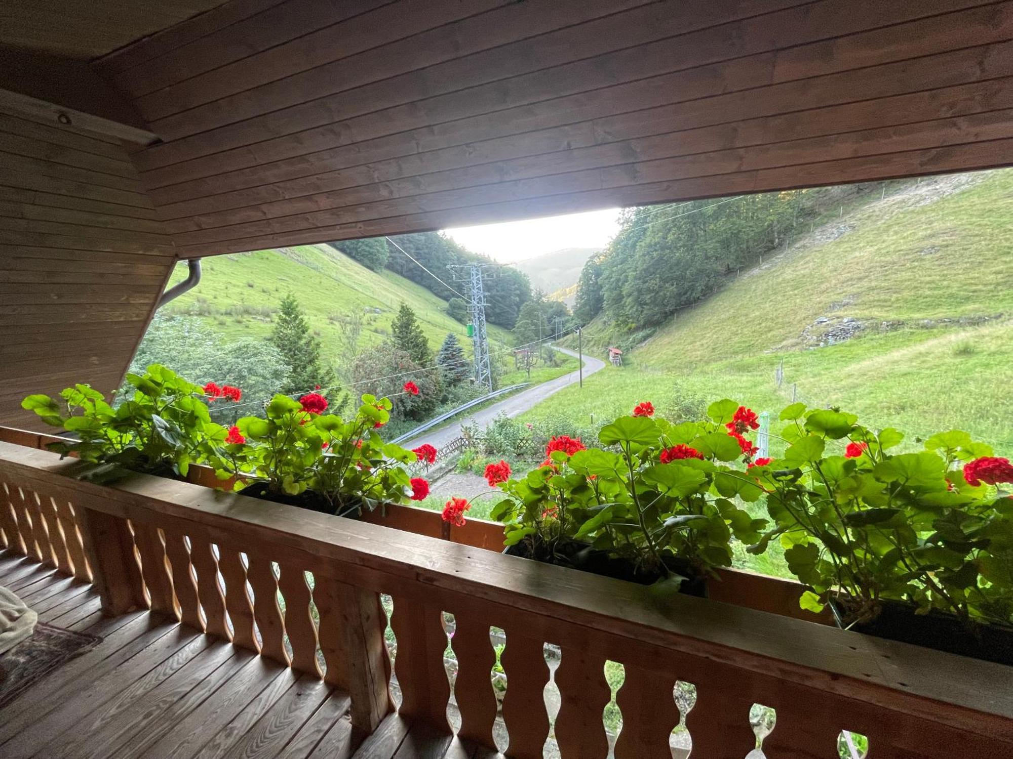 Bauernhaus Im Münstertal Екстериор снимка