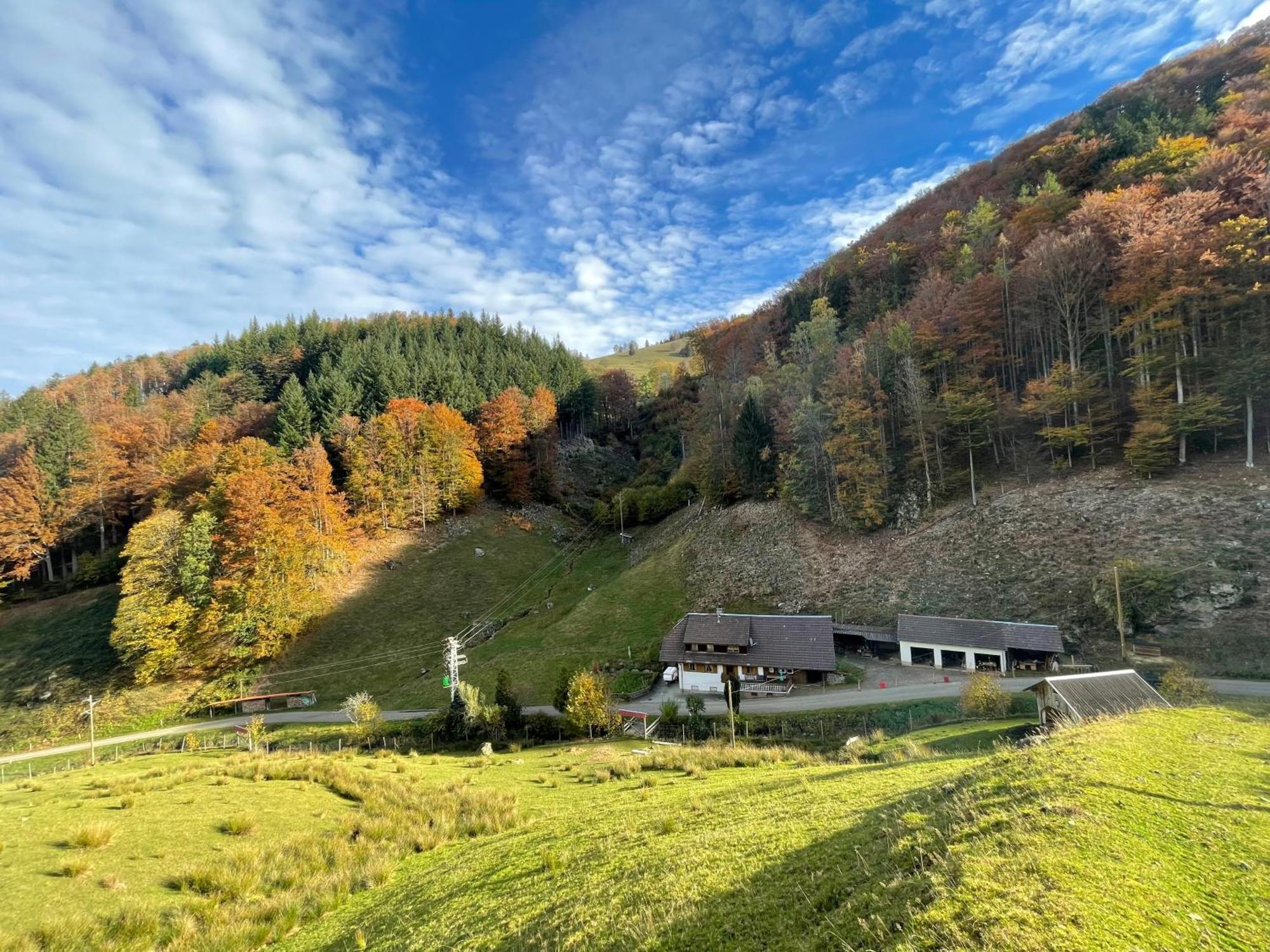 Bauernhaus Im Münstertal Екстериор снимка